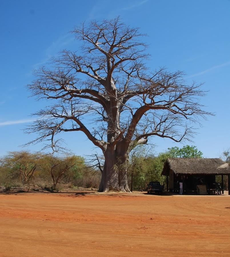 Terre D'Afrique Hotel Popenguine Exterior photo